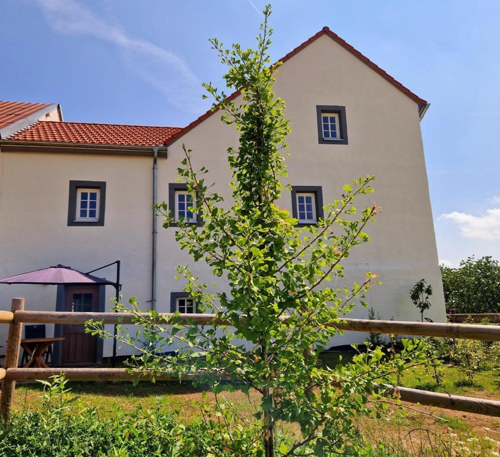 Ferienhaus "Entenhaus" Im Gutshaus De La Fontaine Feilsdorf Exteriér fotografie